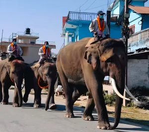 Screenshot 20251215 182119 Facebook