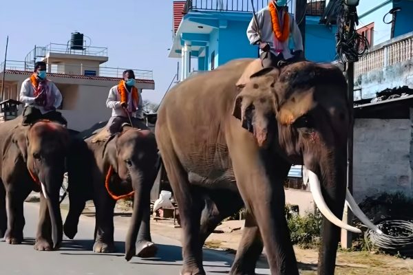 Screenshot 20251215 182119 Facebook